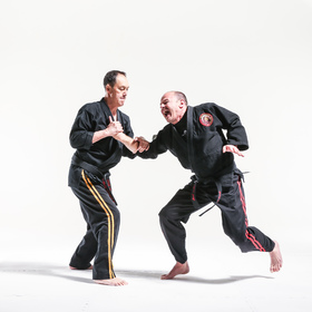 Jujitsu 4 — figure reference